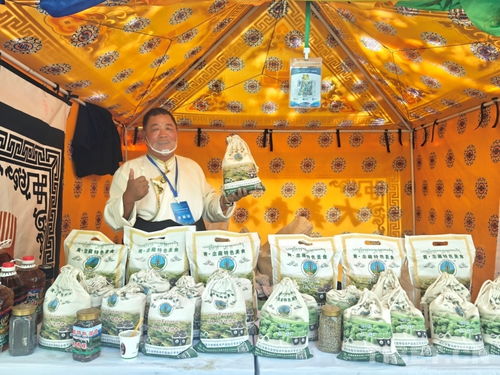 熱貢文化耀拉薩，青藏?cái)y手譜新篇——熱貢文化推介會暨文藝演出在拉薩成功舉辦